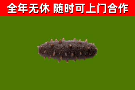 加格达奇烟酒回收干海参.jpg